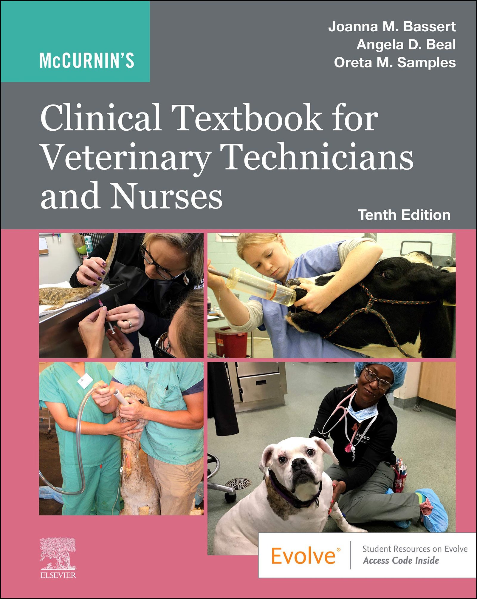 McCurnin's Clinical Textbook for Veterinary Technicians and Nurses E-Book - 10th Edition